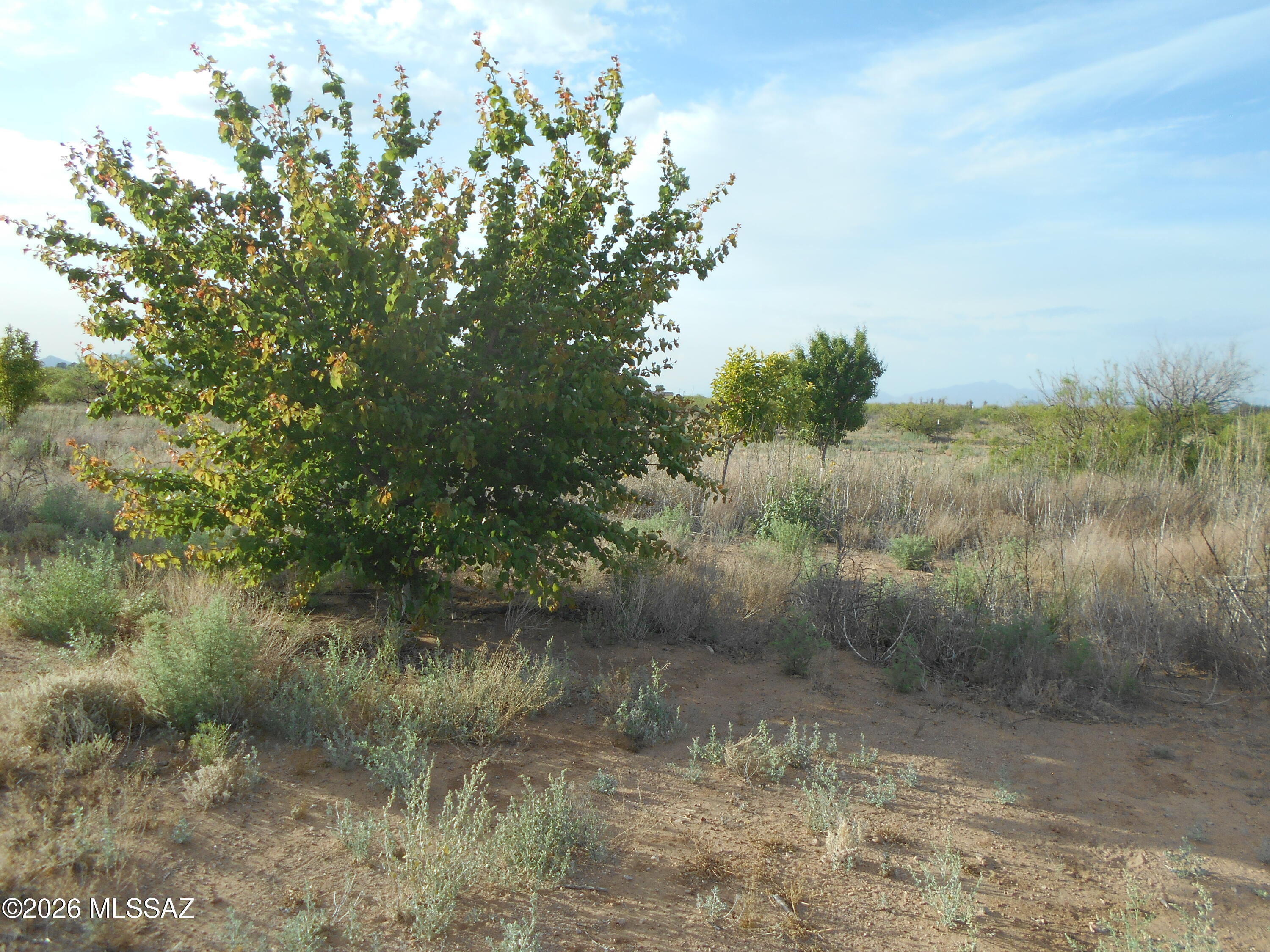 13684 South Tyree Road, Unit 70 Pearce, AZ 85625 - Photo 11 of 37
