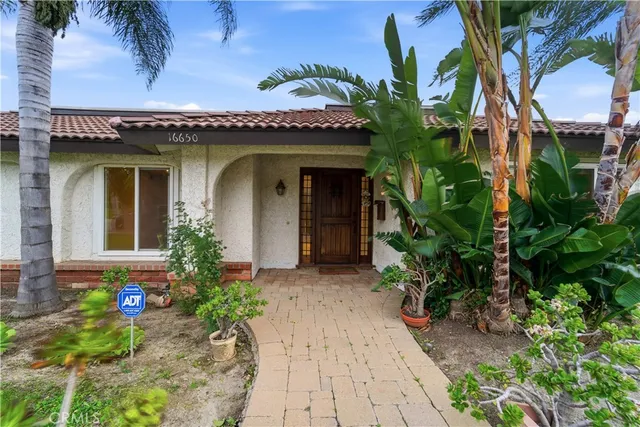 a view of a house with potted plants