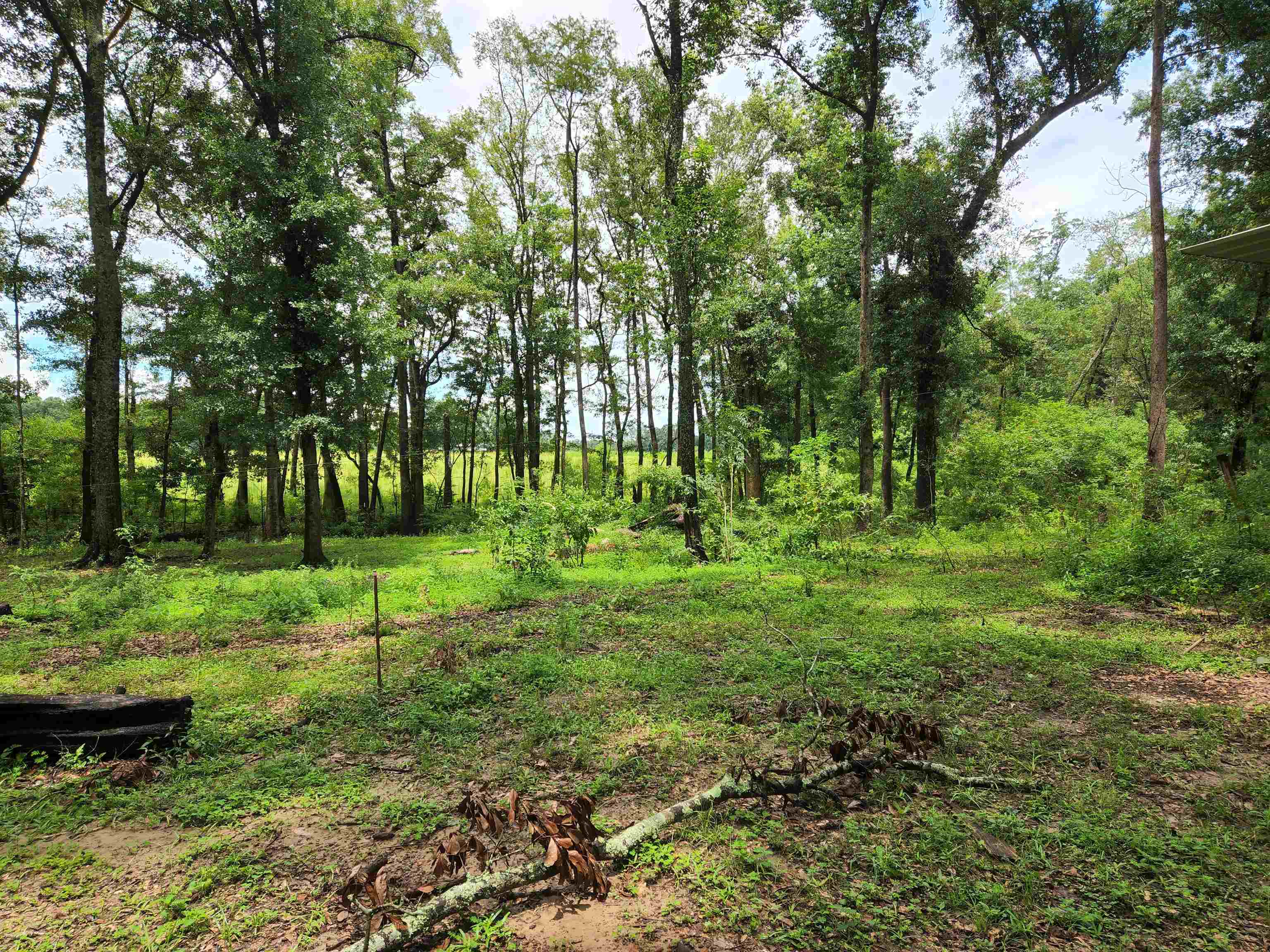 18485 Kendrick Road Robertsdale, AL 36567 - Photo 13 of 17