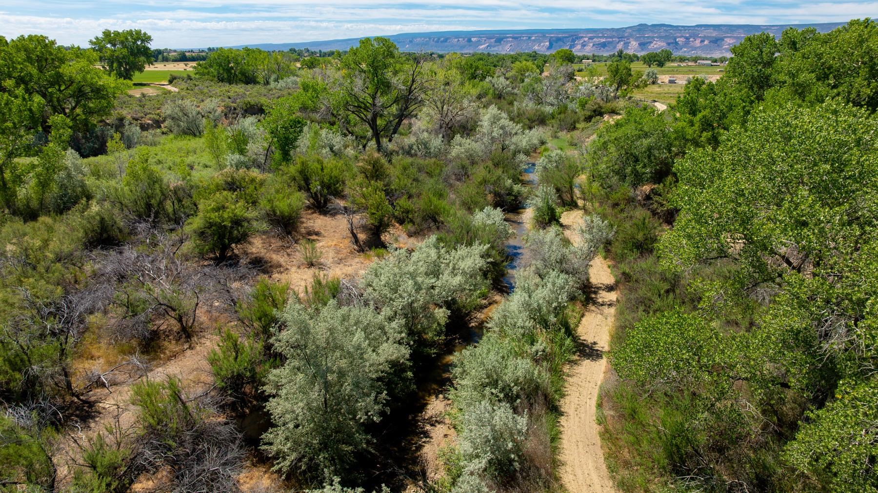 1726 O Road Fruita, CO 81521 - Photo 13 of 42