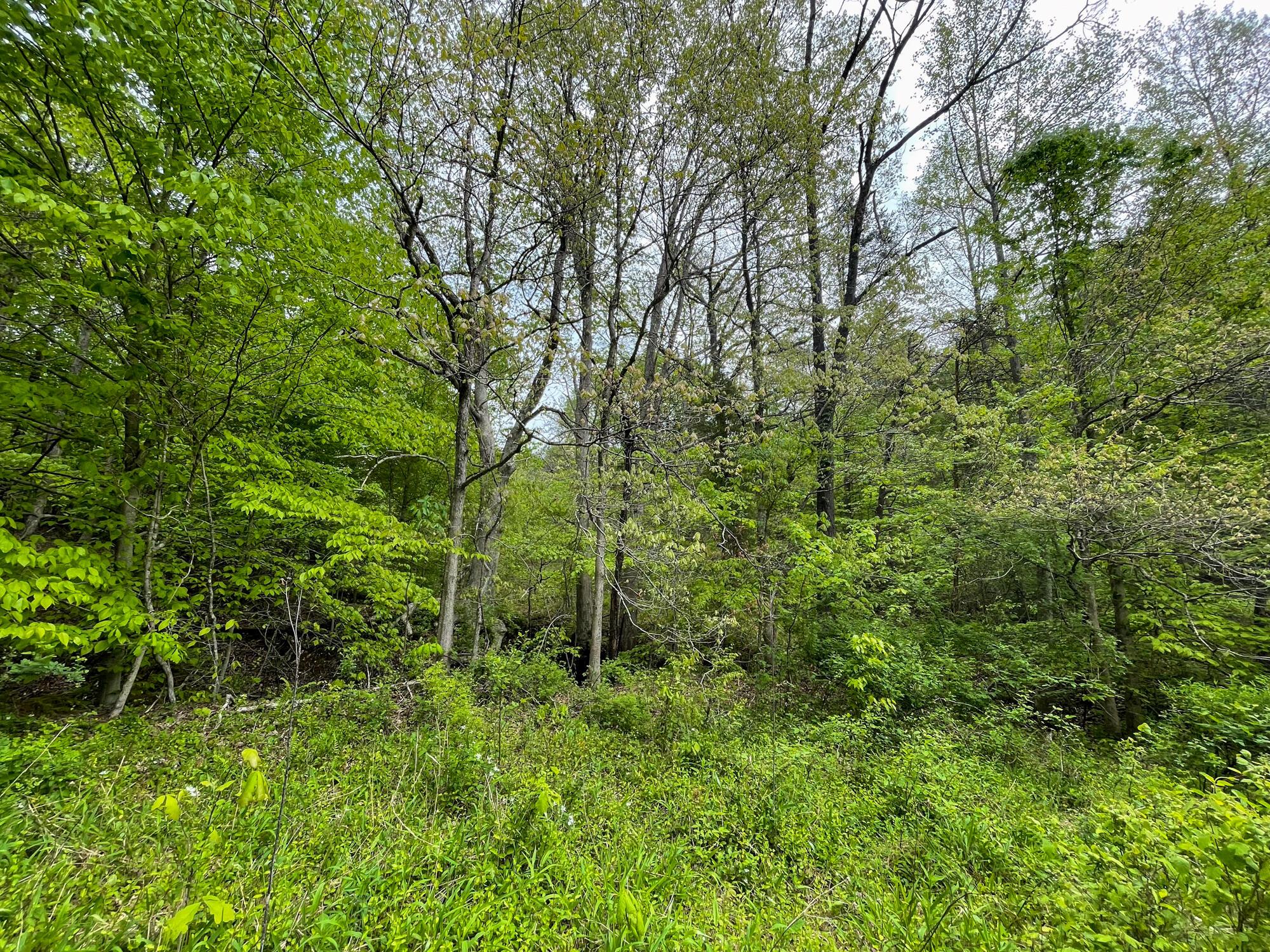 638 Sam Jones Road Wheelersburg, OH 45694 - Photo 10 of 17 IMG_6108