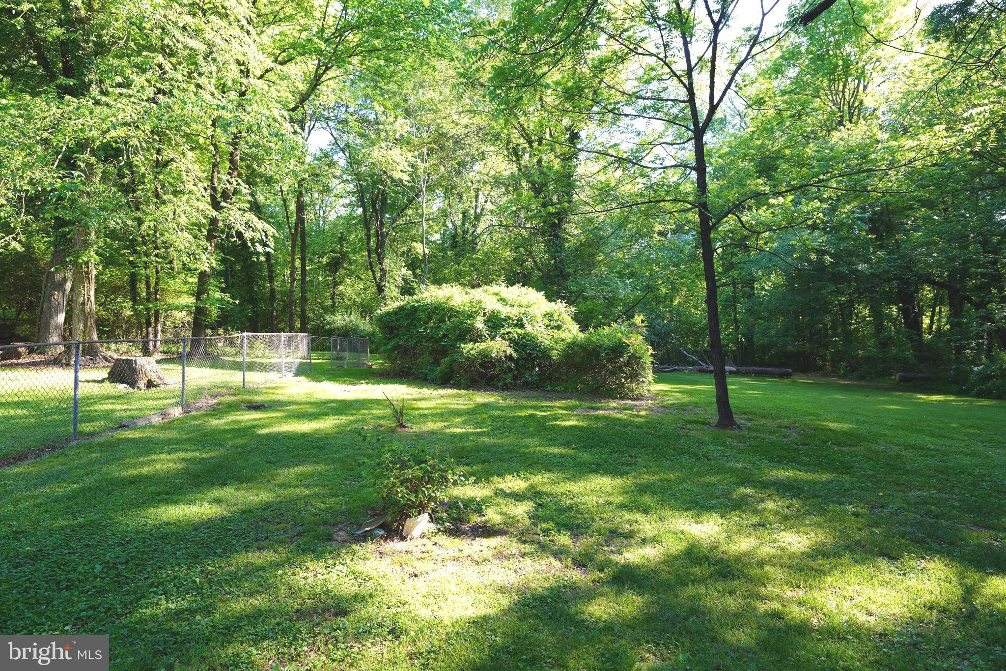 Greenbelt Road Lanham, MD 20706 - Photo 18 of 74 a view of a park with a tree