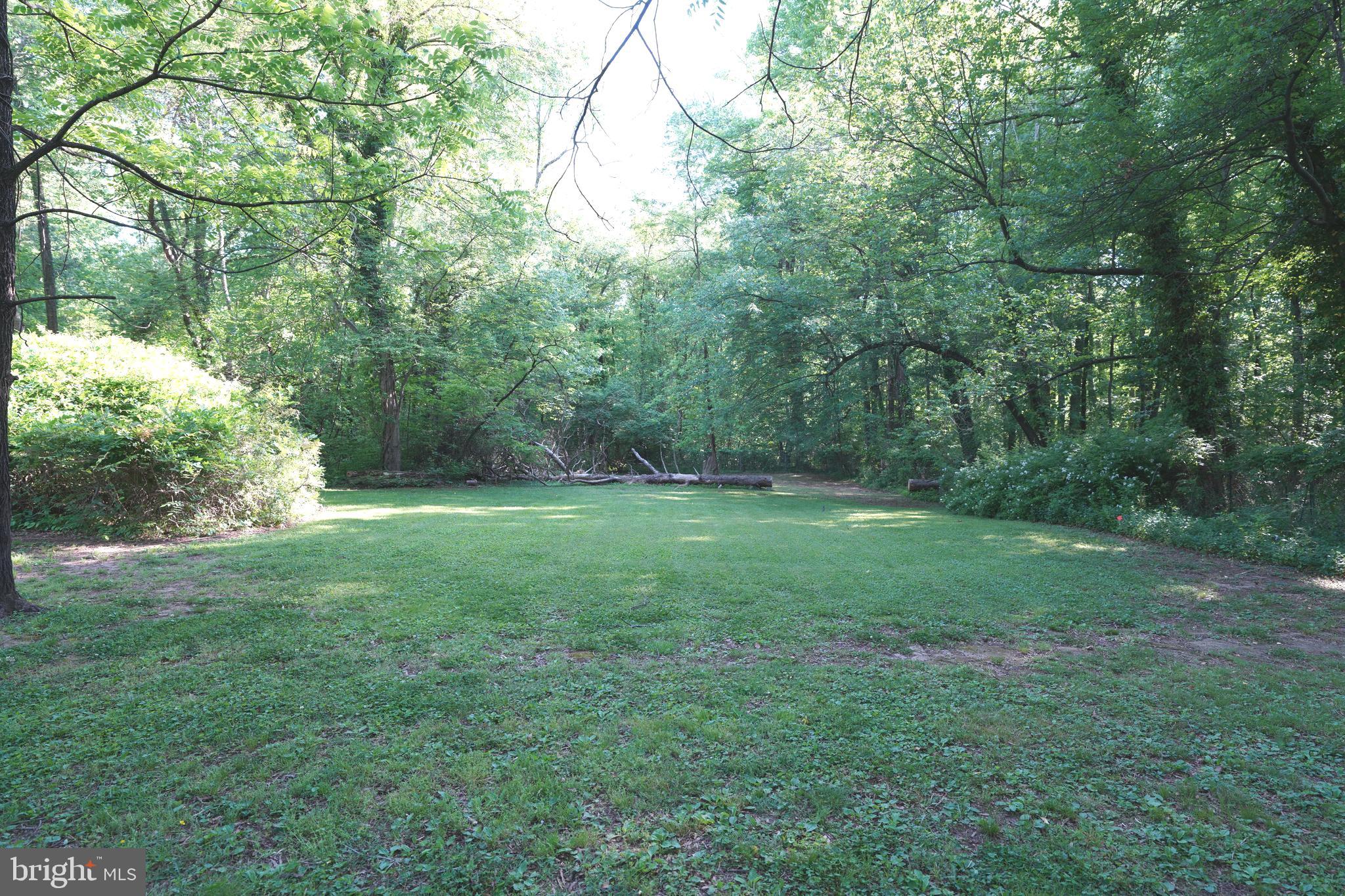 Greenbelt Road Lanham, MD 20706 - Photo 19 of 74 a view of a yard with a trees