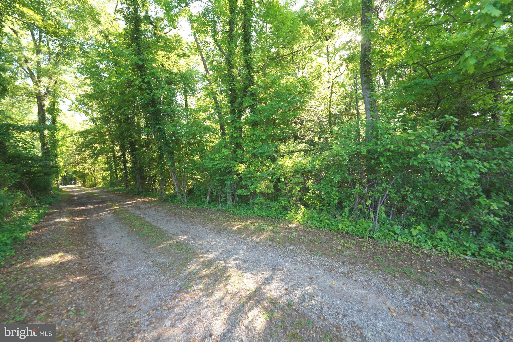 Greenbelt Road Lanham, MD 20706 - Photo 10 of 74 a view of a forest with trees in the background
