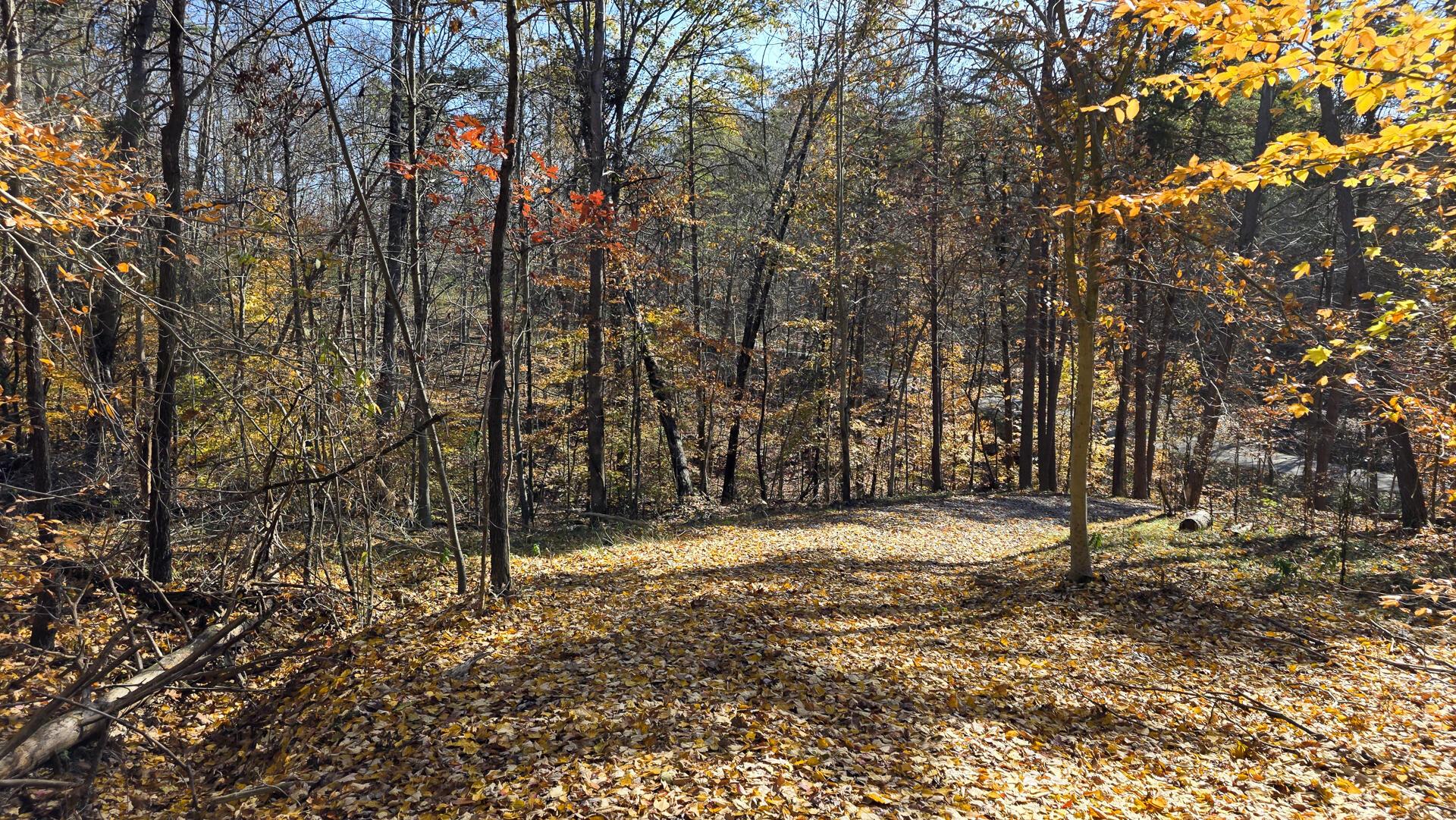 908 Nibert Road, Unit PONDS POPLAR RIDGE TRACT 2) Gallipolis, OH 45631 - Photo 24 of 25 CT-24