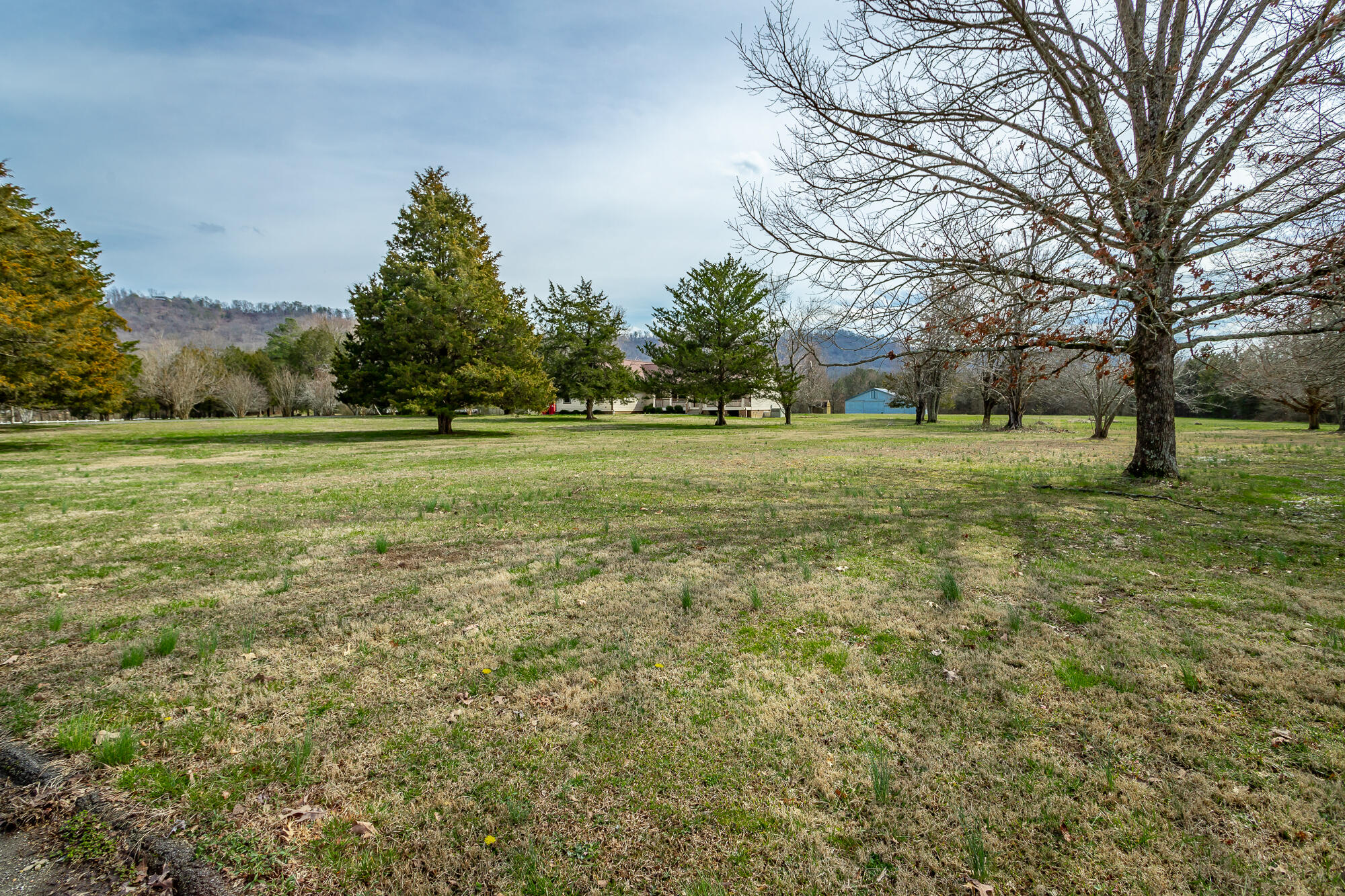 196 Pleasant View Drive Ringgold, GA 30736 - Photo 35 of 62 Front Yard
