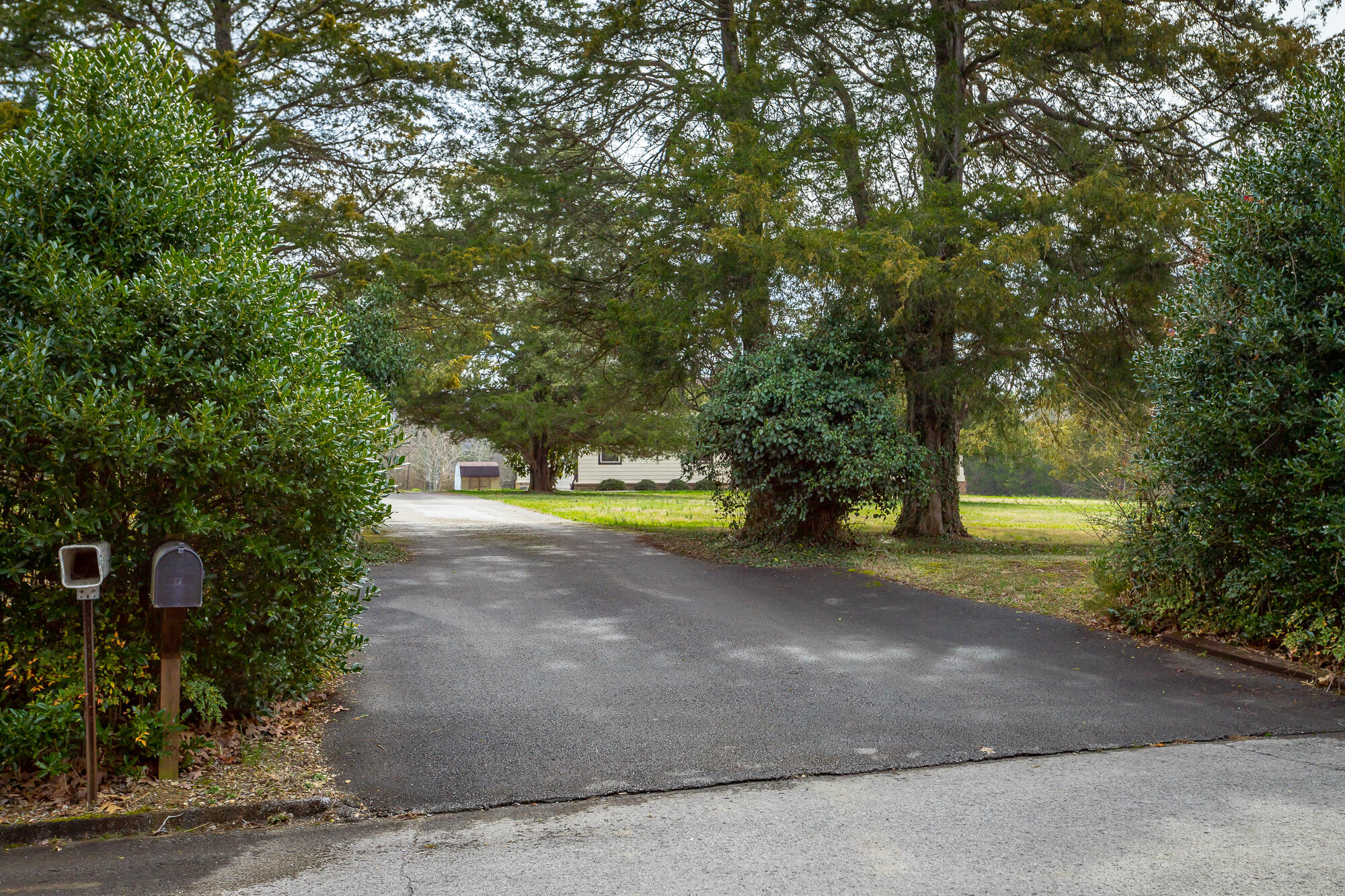 196 Pleasant View Drive Ringgold, GA 30736 - Photo 36 of 62 Driveway from the Road