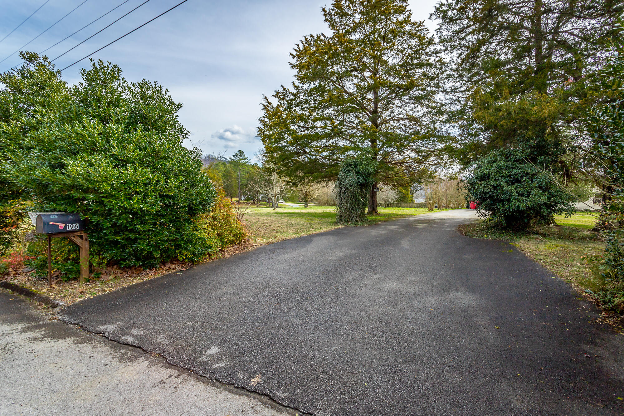 196 Pleasant View Drive Ringgold, GA 30736 - Photo 37 of 62 Tree and Crepe Myrtle lined Drive