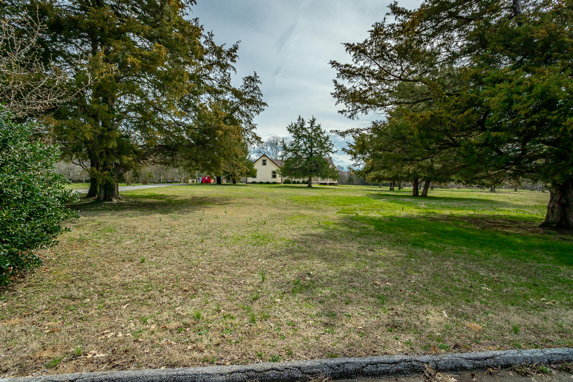196 Pleasant View Drive Ringgold, GA 30736 - Photo 40 of 62 Pretty Curb appeal