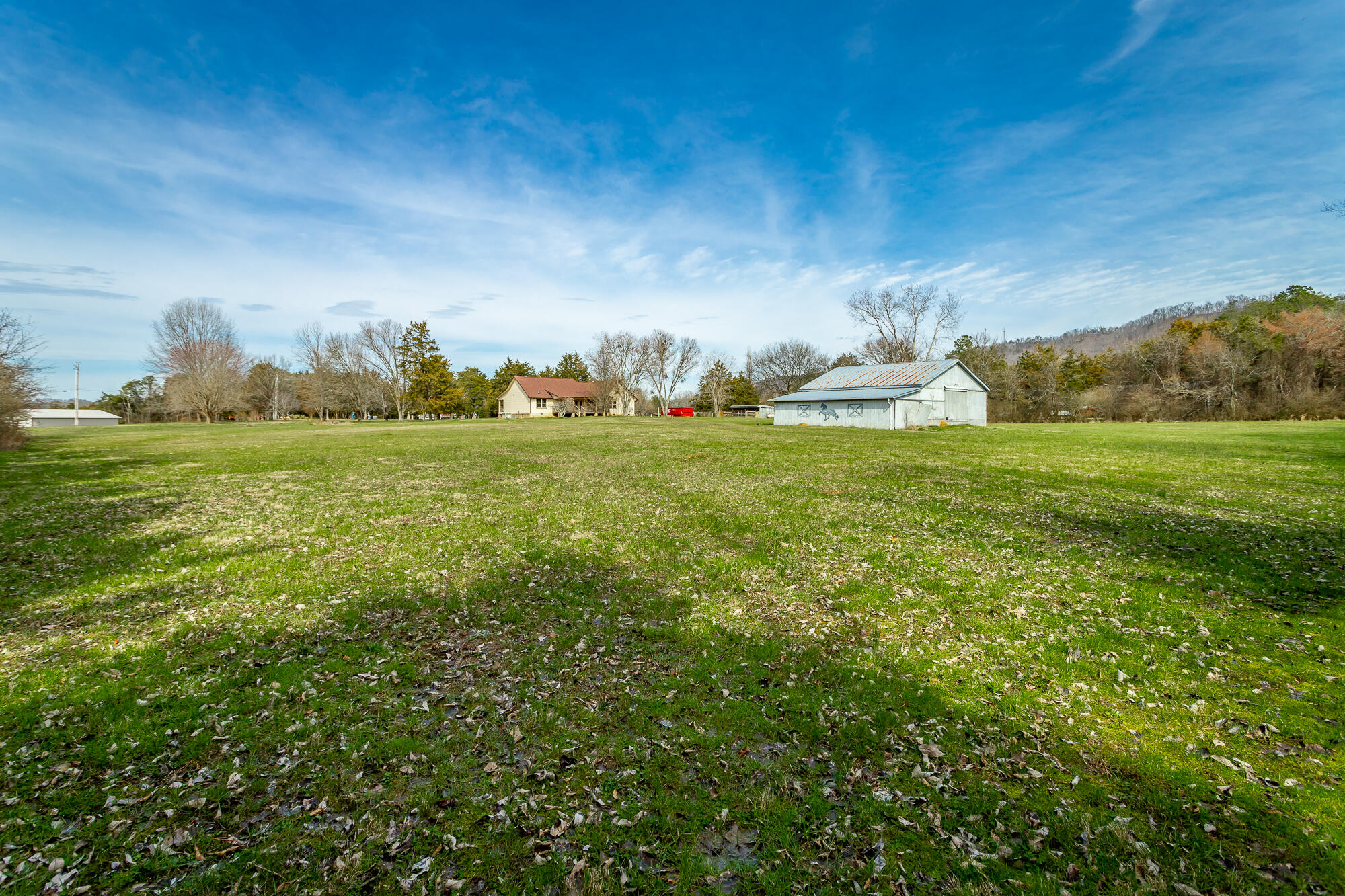 196 Pleasant View Drive Ringgold, GA 30736 - Photo 42 of 62 Bring the horses