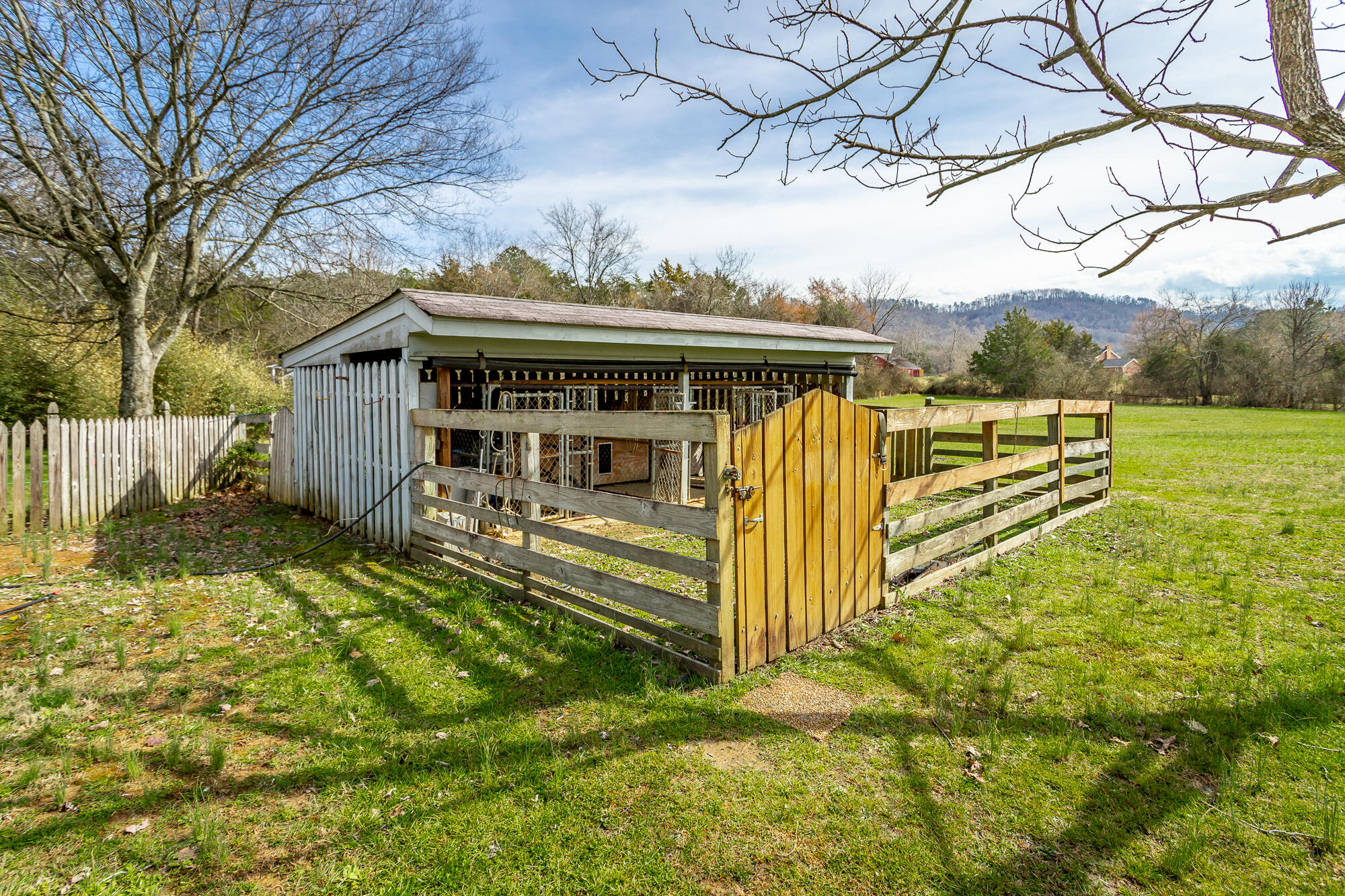 196 Pleasant View Drive Ringgold, GA 30736 - Photo 49 of 62 Dog Kennels