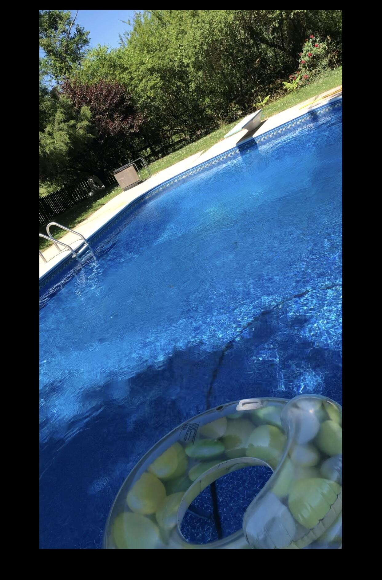 196 Pleasant View Drive Ringgold, GA 30736 - Photo 52 of 62 Summertime Pool picture