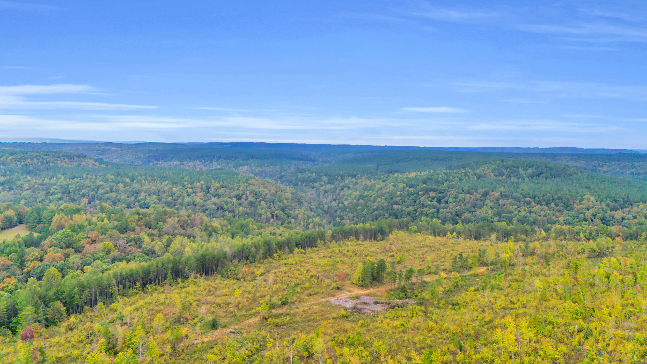 64.23 Worley Road Soddy Daisy, TN 37379 - Photo 4 of 4 64.23 Acre Worley Road
