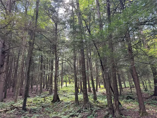 $159,000 | 848 Ouaquaga Road, Windsor, NY 13865