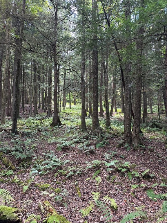 848 Ouaquaga Road Windsor, NY 13865 - Photo 11 of 28