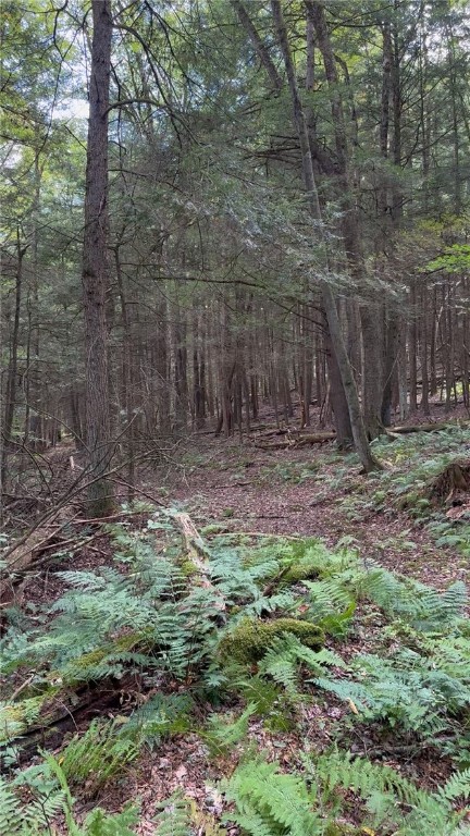 848 Ouaquaga Road Windsor, NY 13865 - Photo 13 of 28