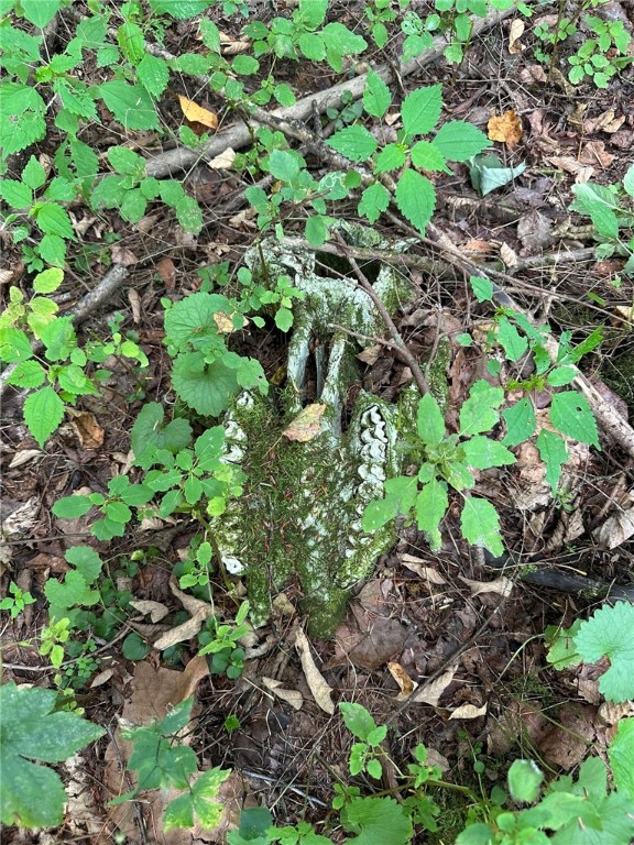 848 Ouaquaga Road Windsor, NY 13865 - Photo 14 of 28