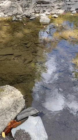 $159,000 | 848 Ouaquaga Road, Windsor, NY 13865