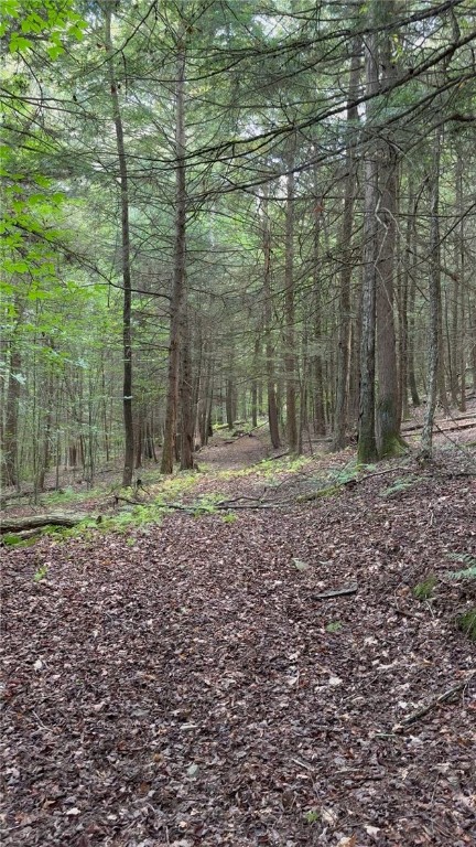 848 Ouaquaga Road Windsor, NY 13865 - Photo 19 of 28