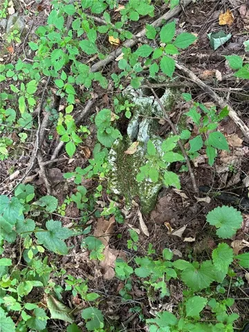 $159,000 | 848 Ouaquaga Road, Windsor, NY 13865