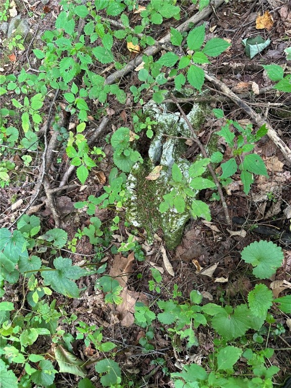 848 Ouaquaga Road Windsor, NY 13865 - Photo 20 of 28