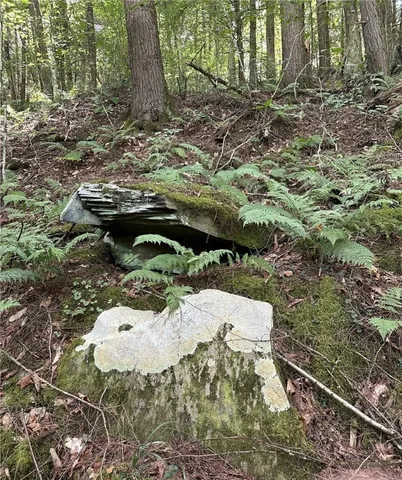 $159,000 | 848 Ouaquaga Road, Windsor, NY 13865