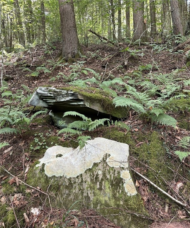 848 Ouaquaga Road Windsor, NY 13865 - Photo 24 of 28