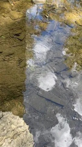 $159,000 | 848 Ouaquaga Road, Windsor, NY 13865