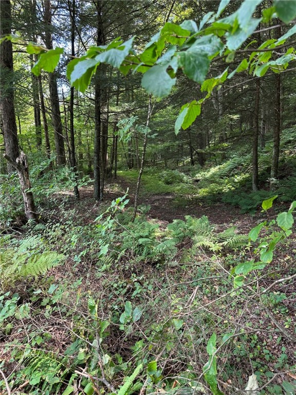 848 Ouaquaga Road Windsor, NY 13865 - Photo 26 of 28