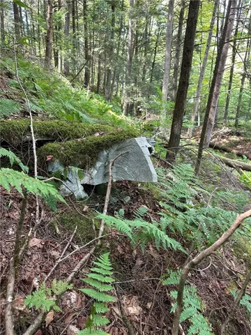 $159,000 | 848 Ouaquaga Road, Windsor, NY 13865