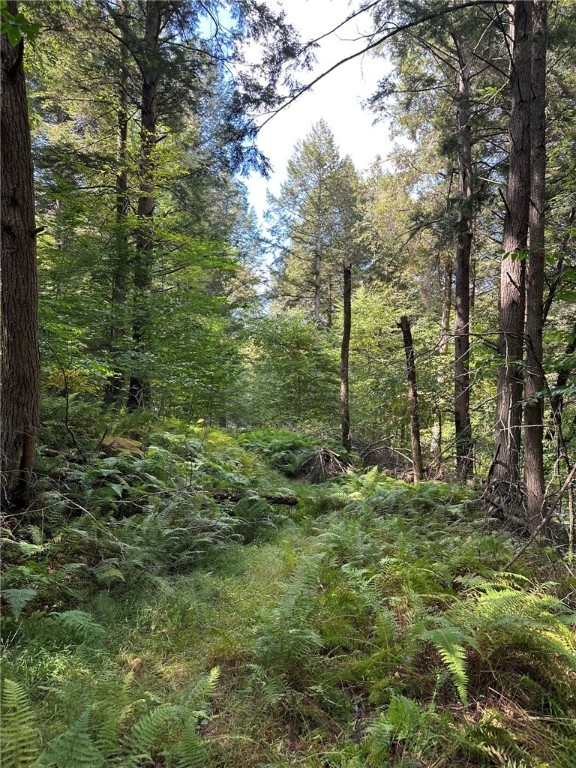 848 Ouaquaga Road Windsor, NY 13865 - Photo 4 of 28