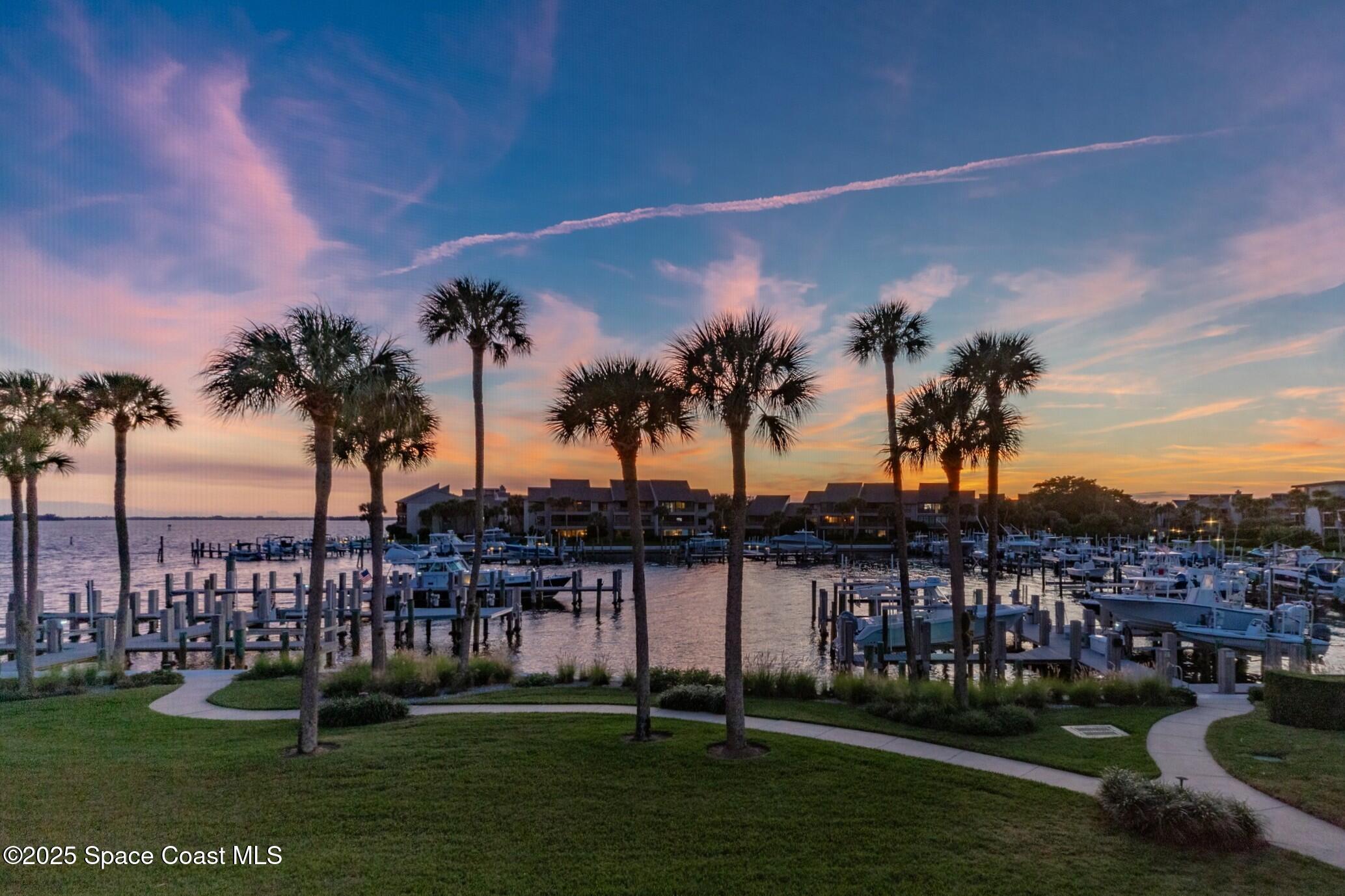 1903 Bay Road, Unit 205 Vero Beach, FL 32963 - Photo 21 of 53 a garden view with palm trees