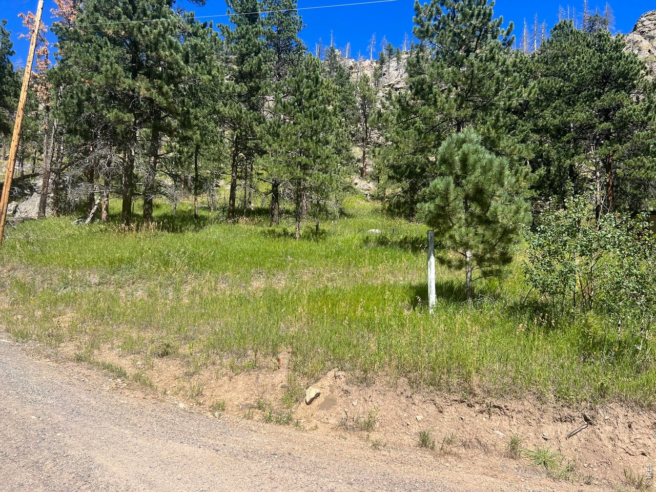 1268 Spring Valley Road Bellvue, CO 80512 - Photo 30 of 33 a view of a garden