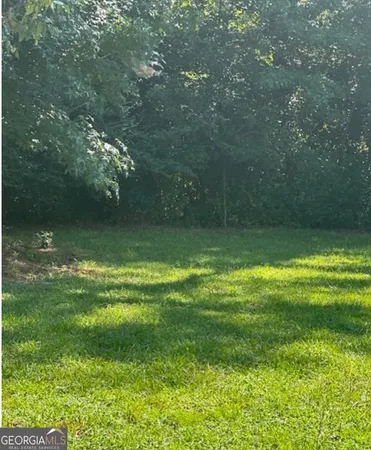 a view of a yard