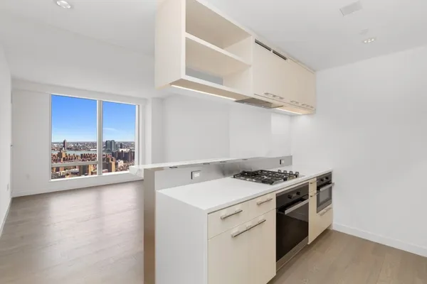 $5,500 | 252 South Street, Unit 42F | Two Bridges