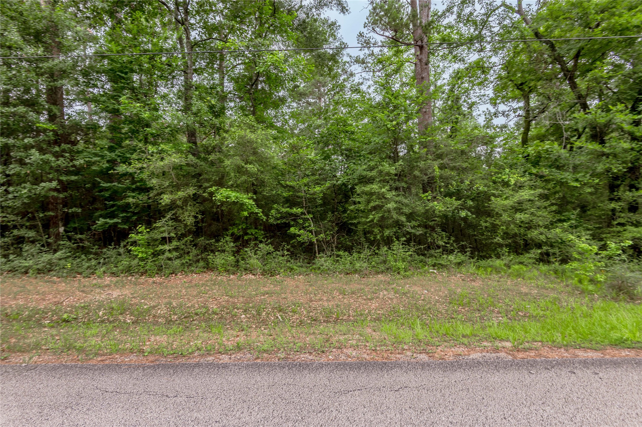 Lot 08 Oak Drive Trinity, TX 75862 - Photo 6 of 32