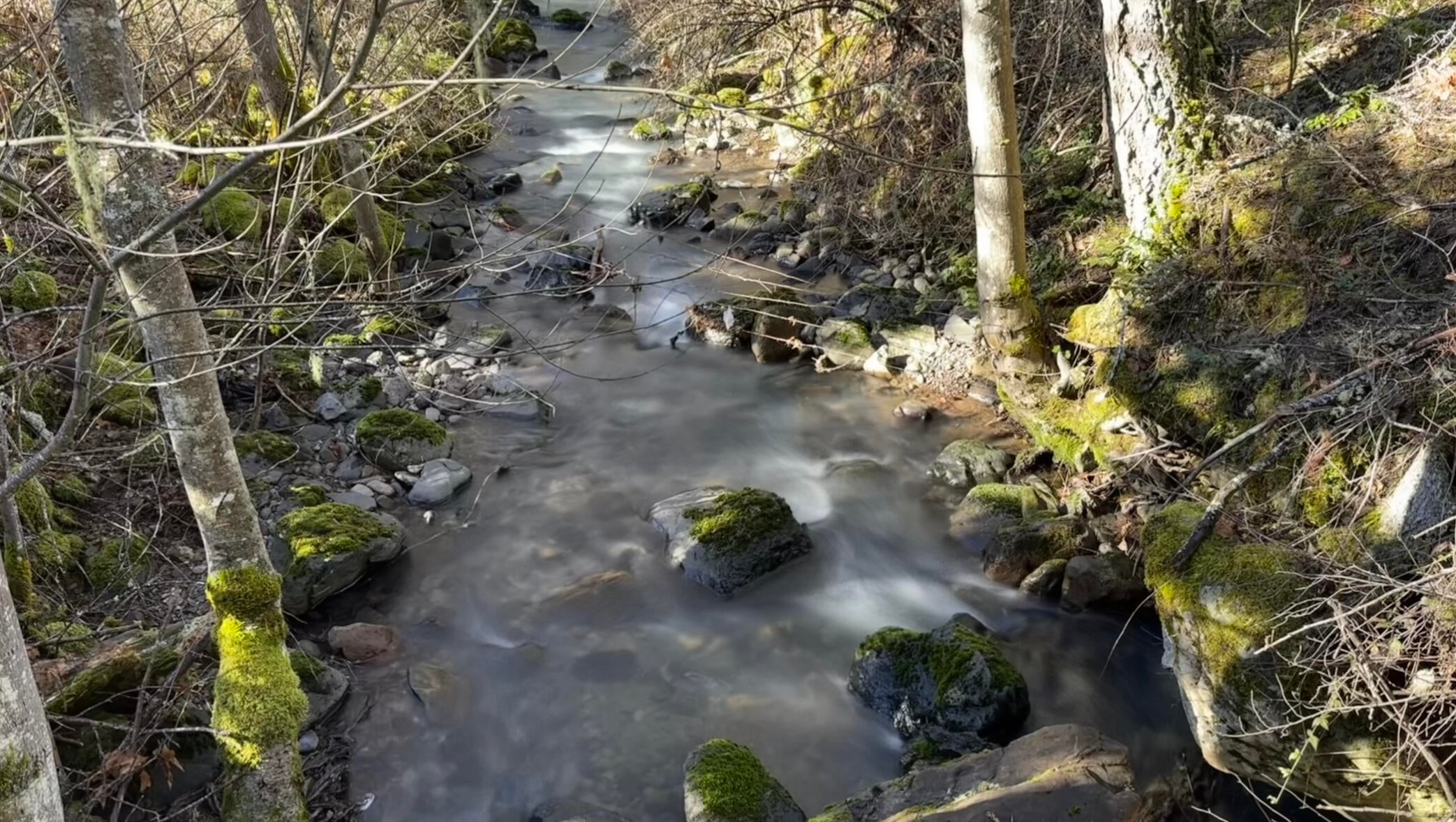 15400 Elk Creek Road Trail, OR 97541 - Photo 7 of 31 Elk Creek