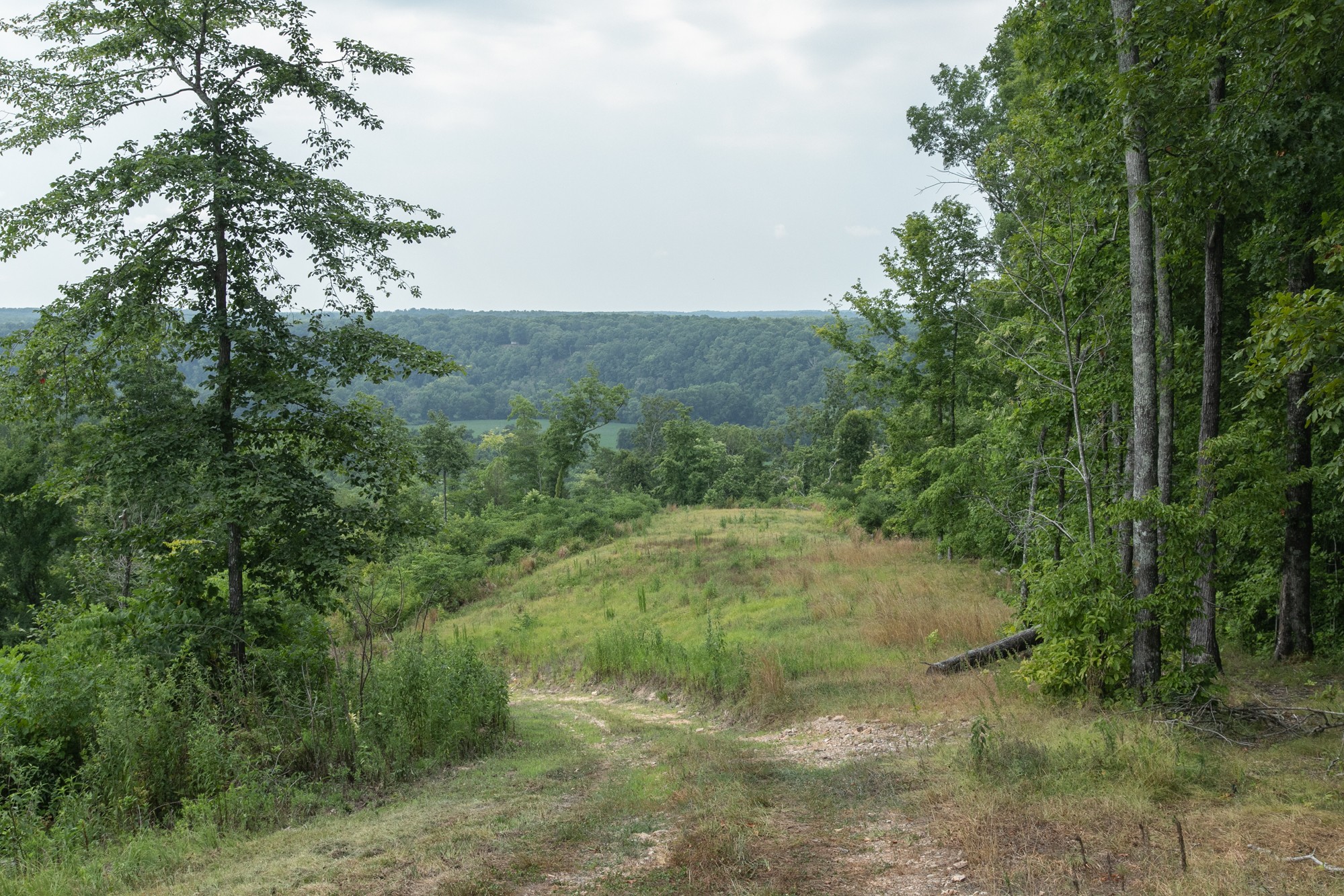 0 Coble To Only Road Nunnelly, TN 37137 - Photo 11 of 50 Gallery Image 11