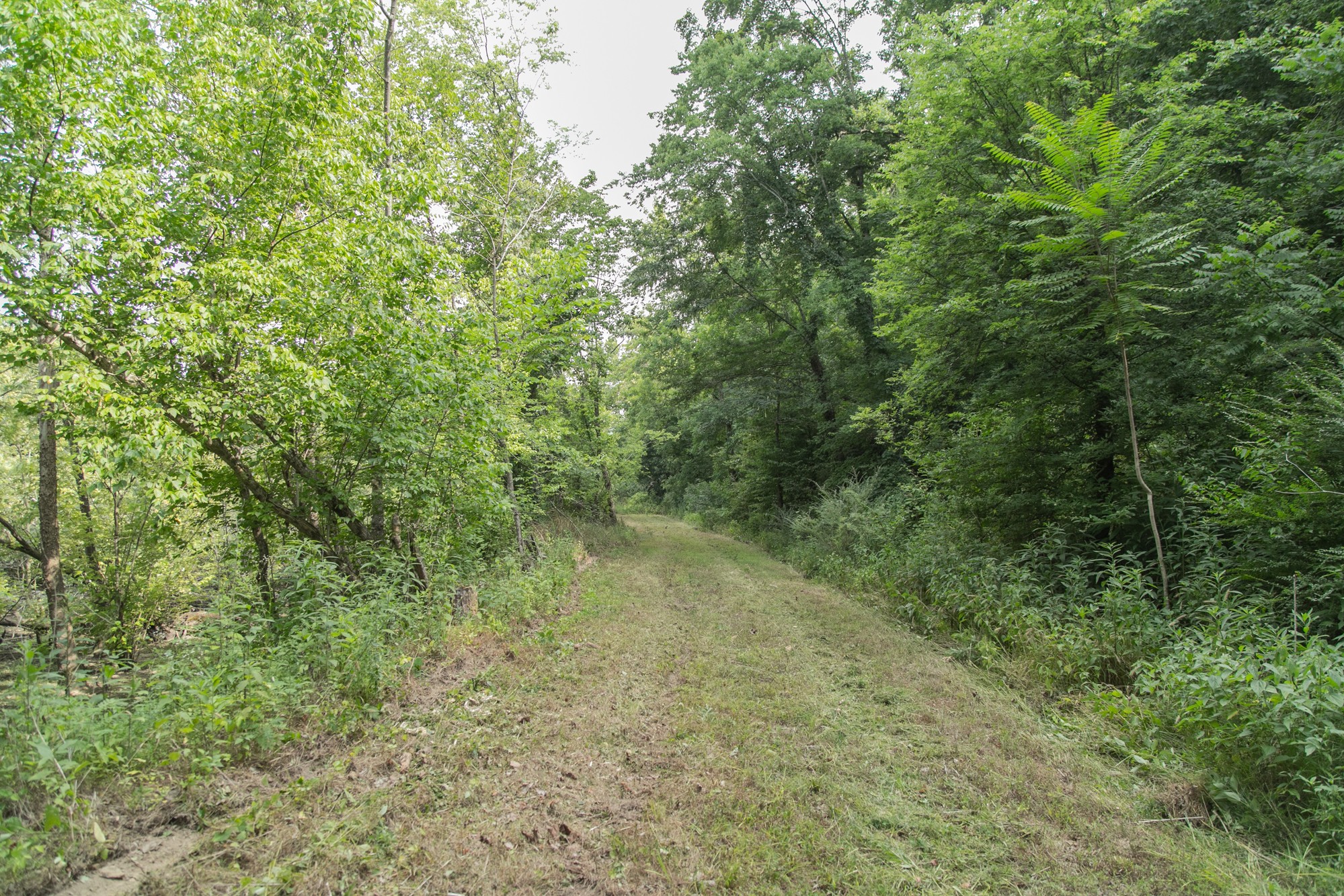 0 Coble To Only Road Nunnelly, TN 37137 - Photo 17 of 50 Gallery Image 17