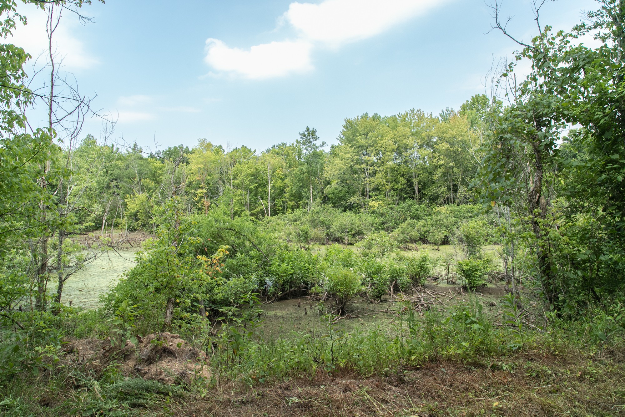 0 Coble To Only Road Nunnelly, TN 37137 - Photo 18 of 50 Gallery Image 18