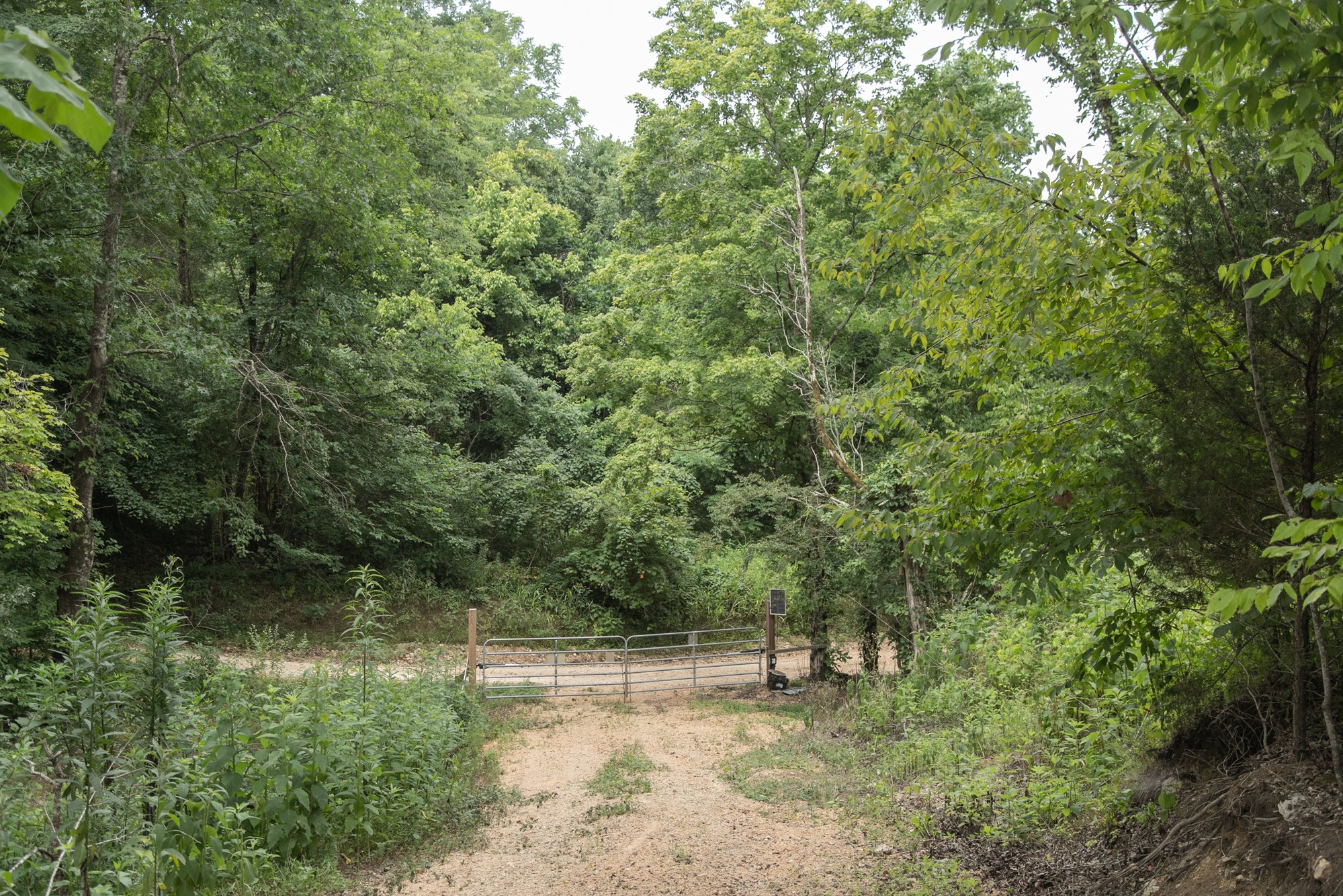 0 Coble To Only Road Nunnelly, TN 37137 - Photo 20 of 50 Gallery Image 20