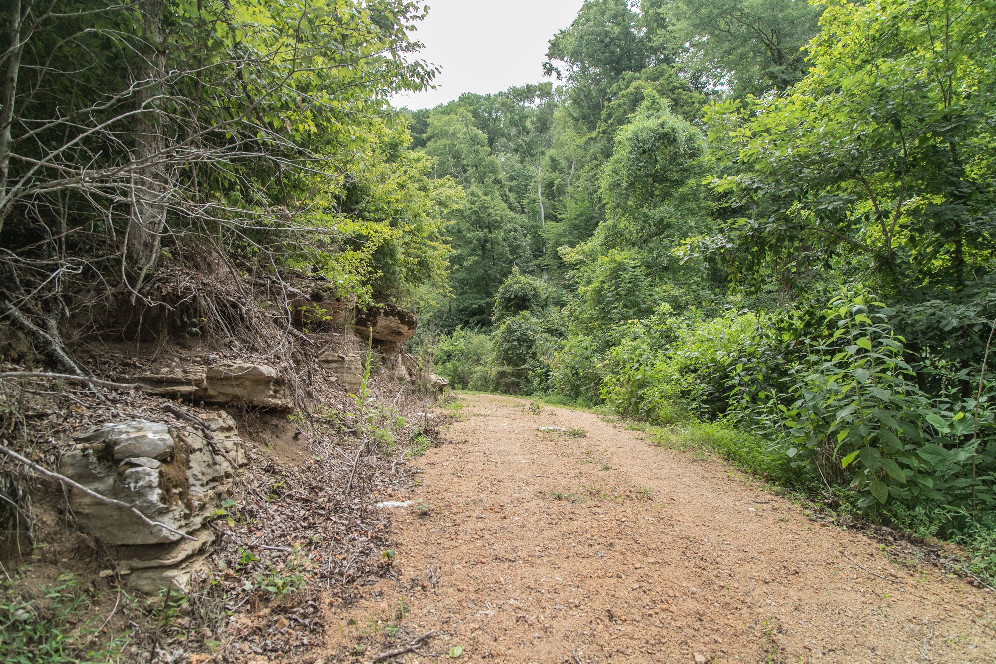 0 Coble To Only Road Nunnelly, TN 37137 - Photo 21 of 50 Gallery Image 21