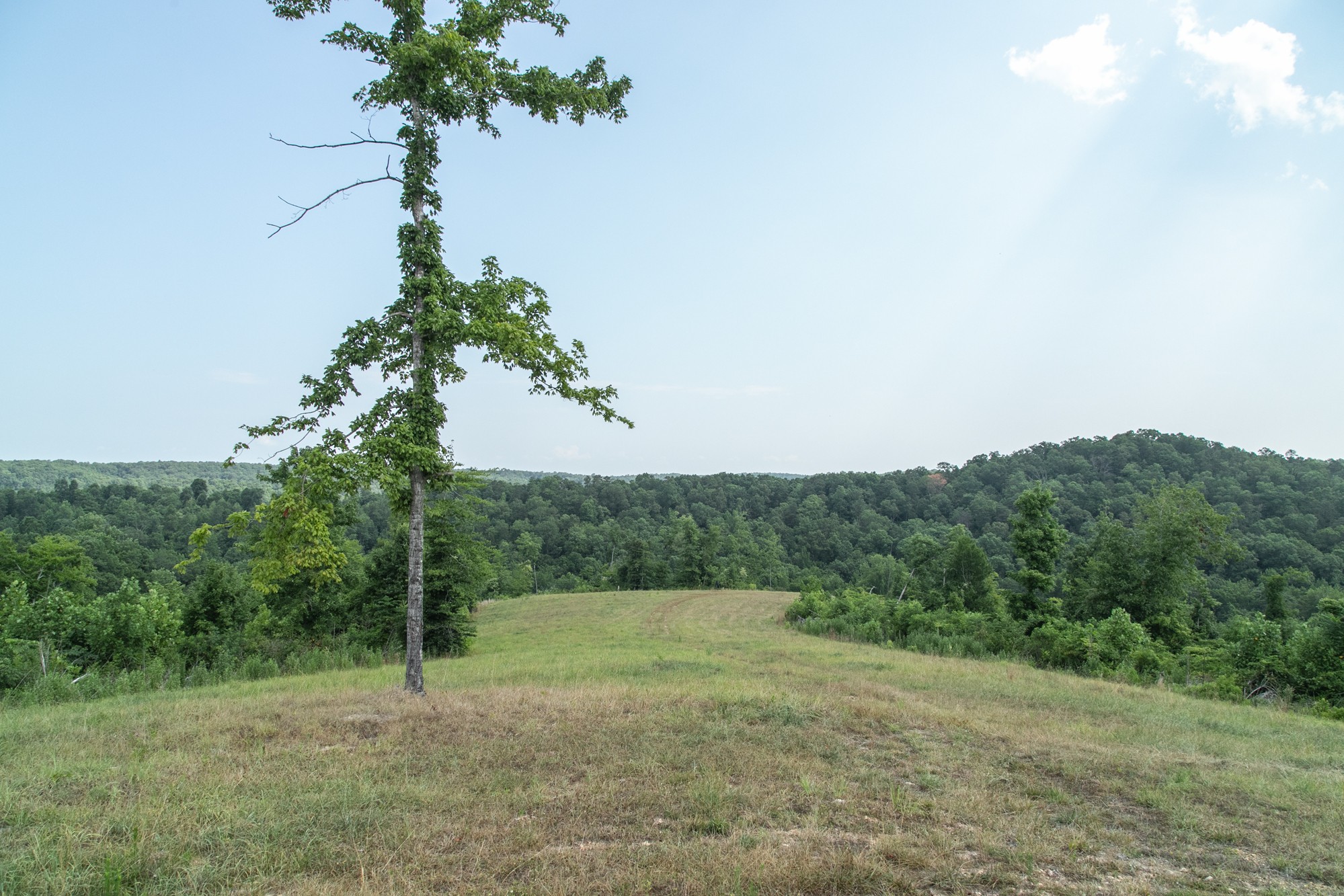 0 Coble To Only Road Nunnelly, TN 37137 - Photo 25 of 50 Gallery Image 25