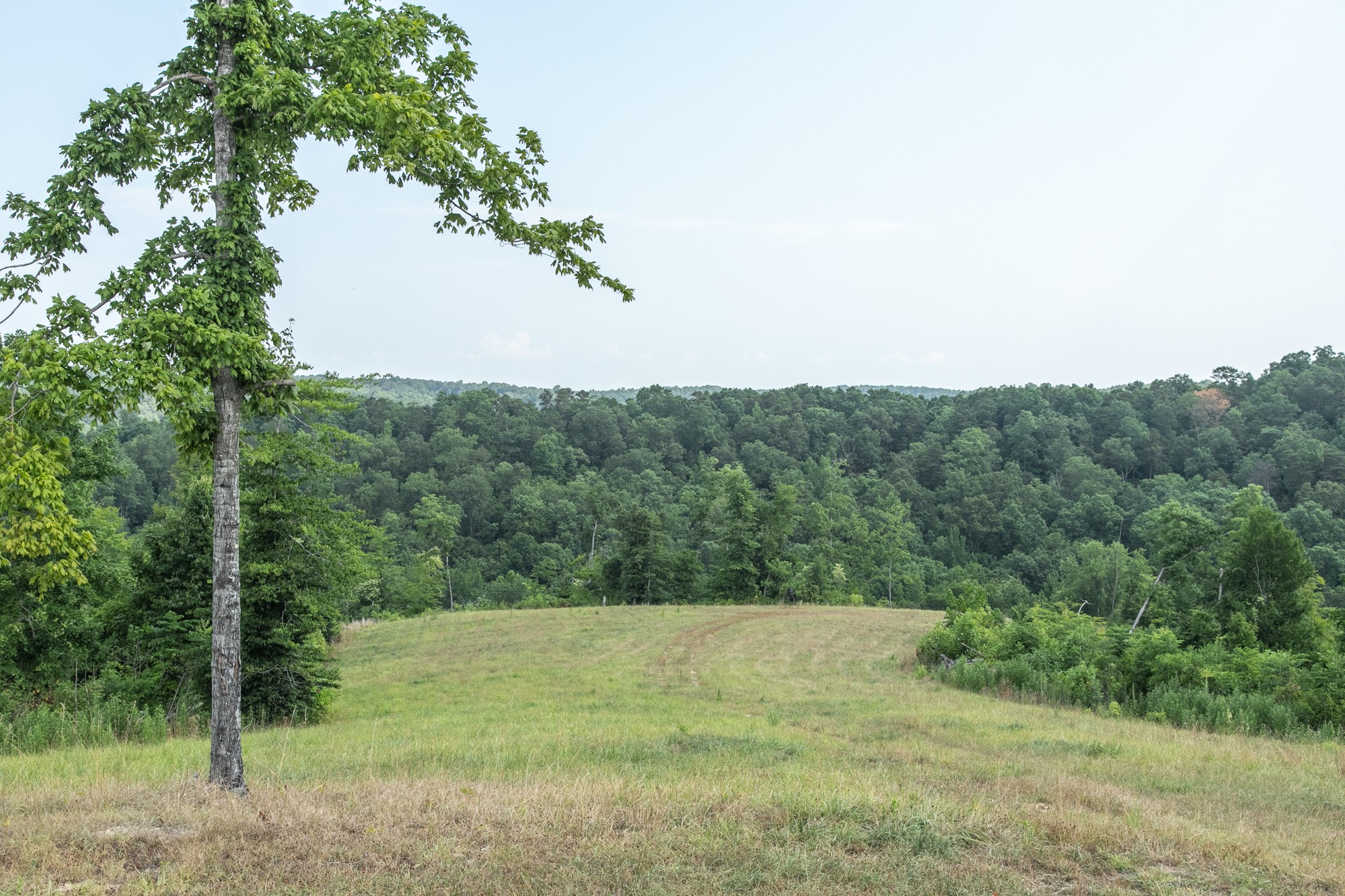 0 Coble To Only Road Nunnelly, TN 37137 - Photo 26 of 50 Gallery Image 26