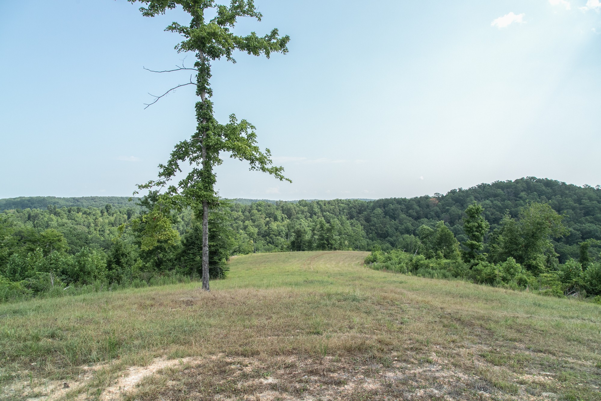 0 Coble To Only Road Nunnelly, TN 37137 - Photo 27 of 50 Gallery Image 27