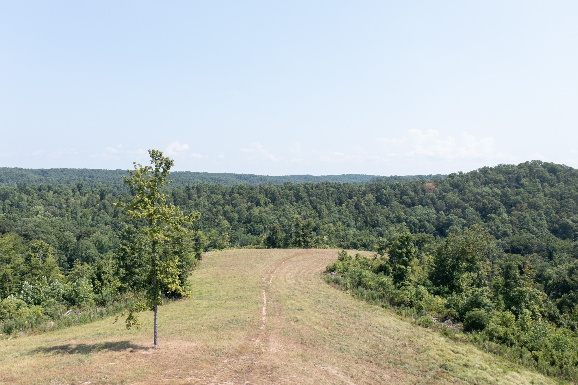 0 Coble To Only Road Nunnelly, TN 37137 - Photo 3 of 50 Gallery Image 3