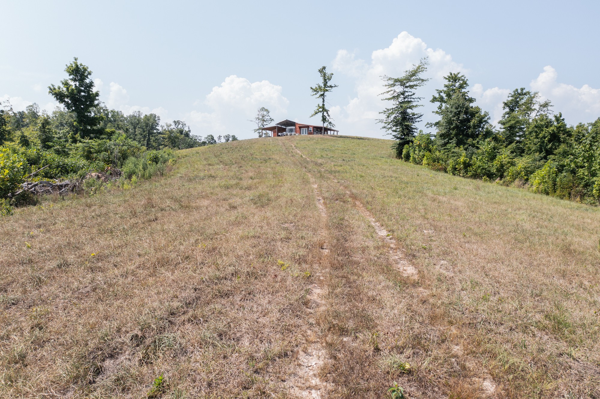 0 Coble To Only Road Nunnelly, TN 37137 - Photo 4 of 50 Gallery Image 4