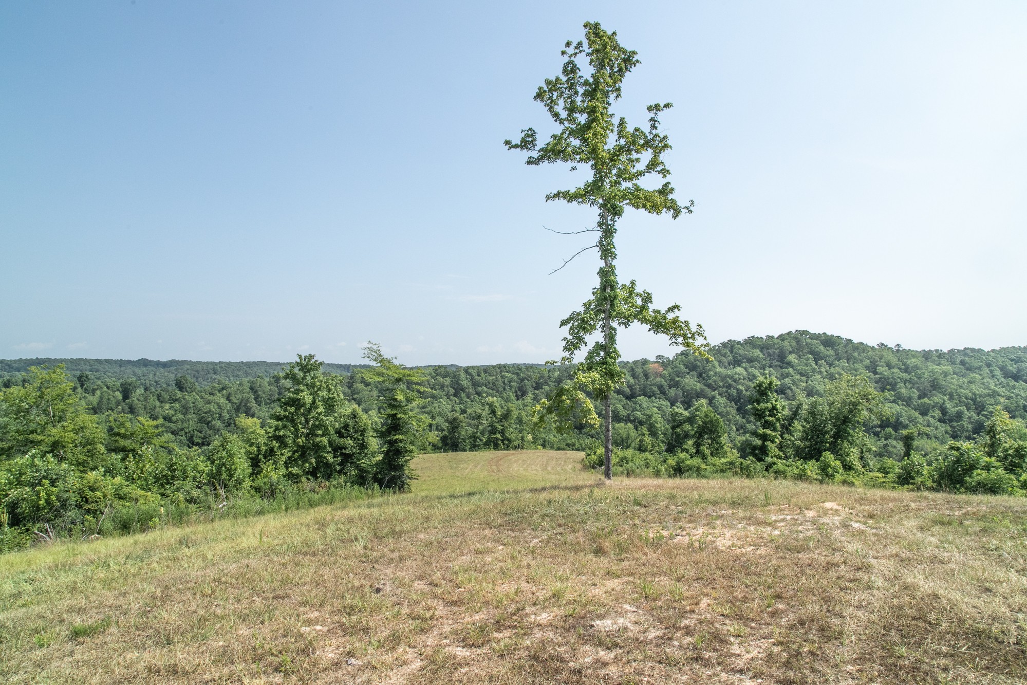 0 Coble To Only Road Nunnelly, TN 37137 - Photo 41 of 50 Gallery Image 41