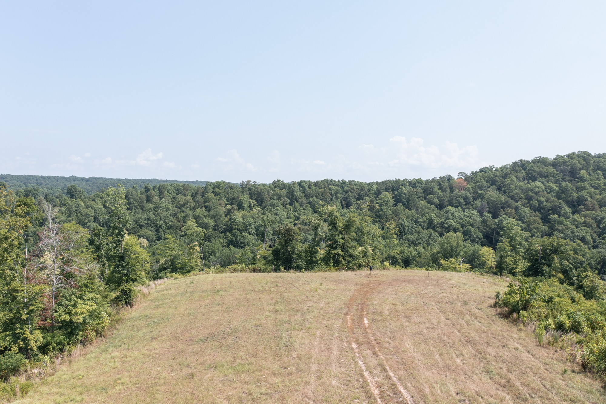 0 Coble To Only Road Nunnelly, TN 37137 - Photo 6 of 50 Gallery Image 6