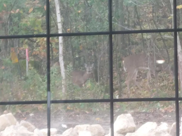 $459,900 | 2563 Clubhouse Drive, Lake City, MN 55041